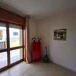 Amata *
