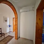 Amata *