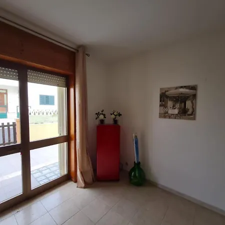 Amata *