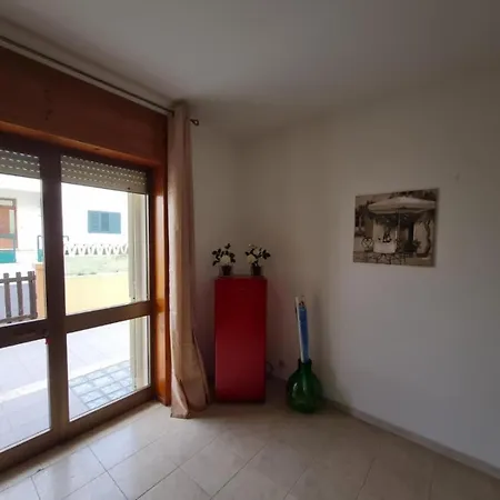 Amata *