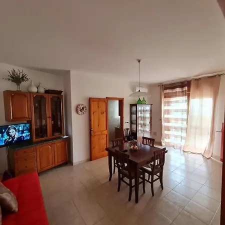 Amata *