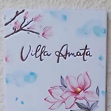 Amata