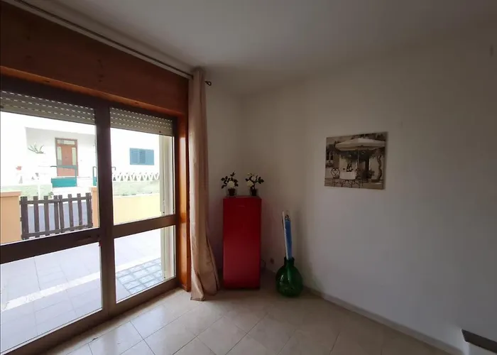 Amata *